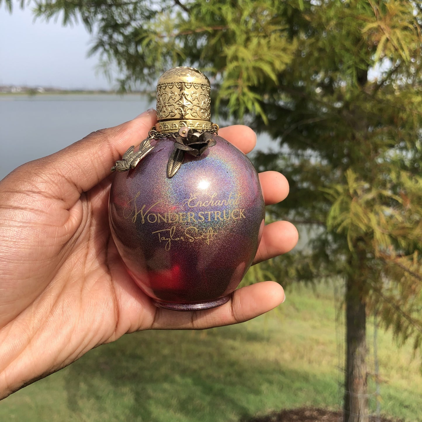 INDIVIDUAL SAMPLES Wonderstruck Enchanted Perfume